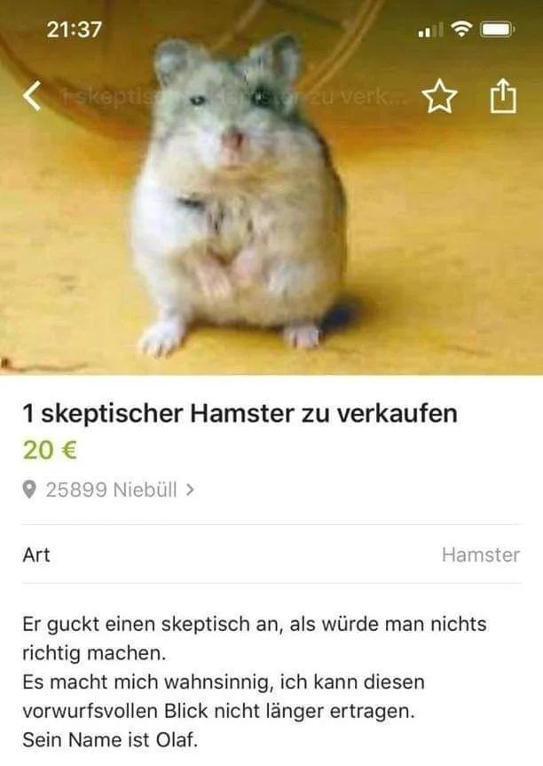Hat-jemand-Interesse.jpg