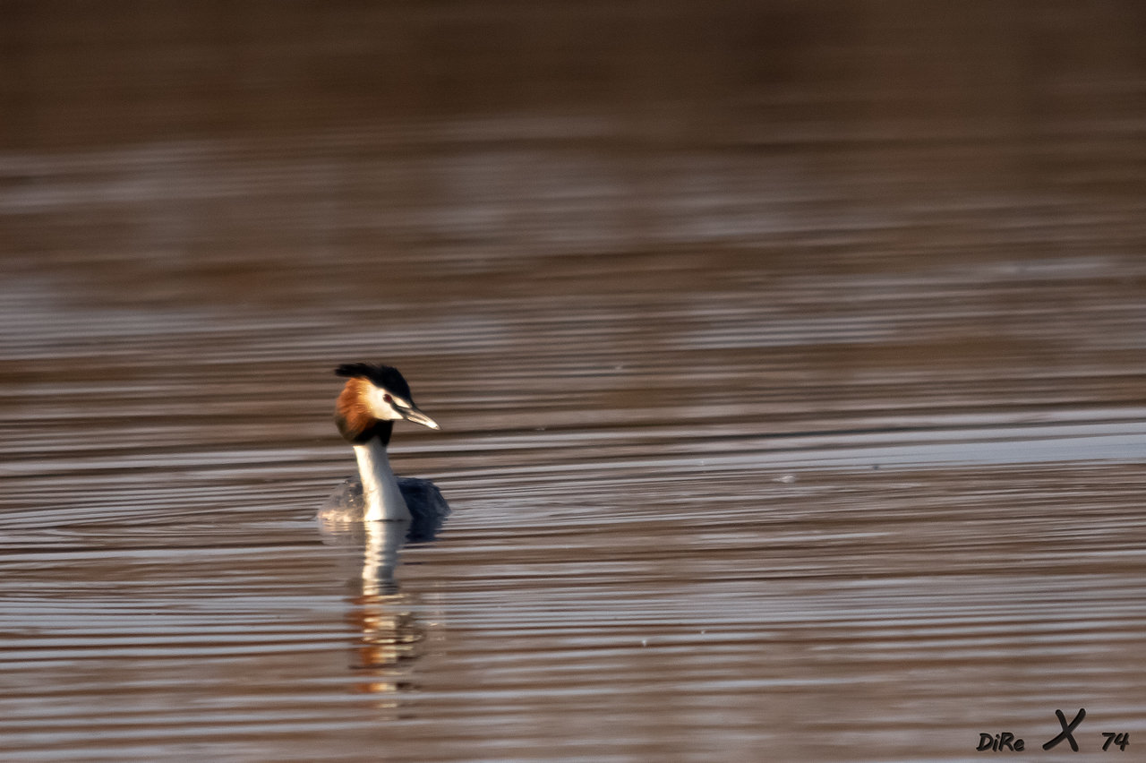 haubi_04012020-2.jpg