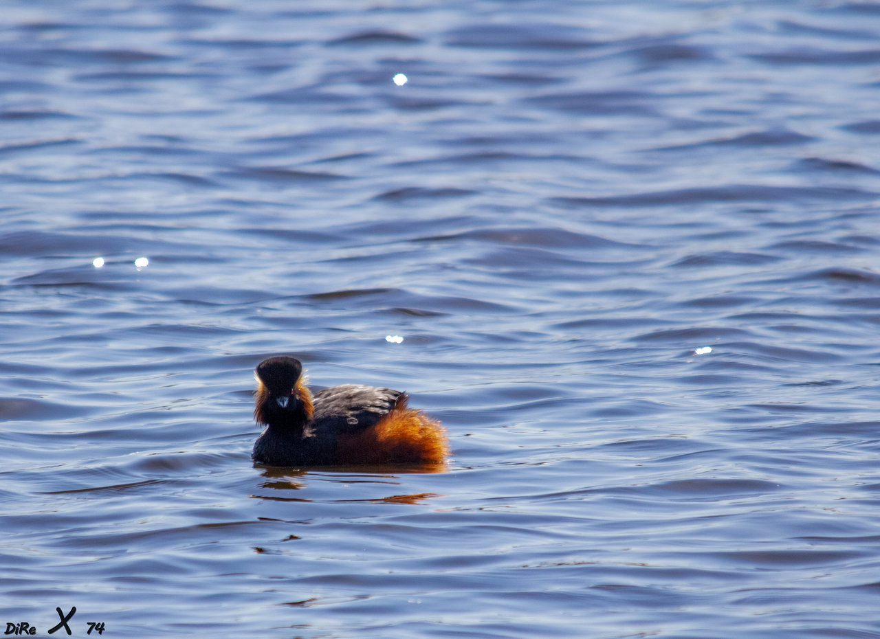 haubi_20102020-2.jpg