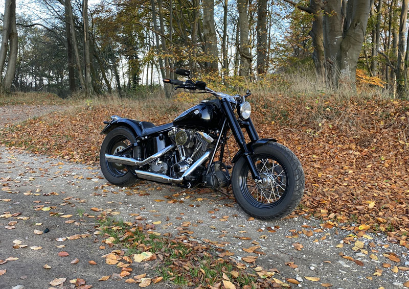 hd02.jpg