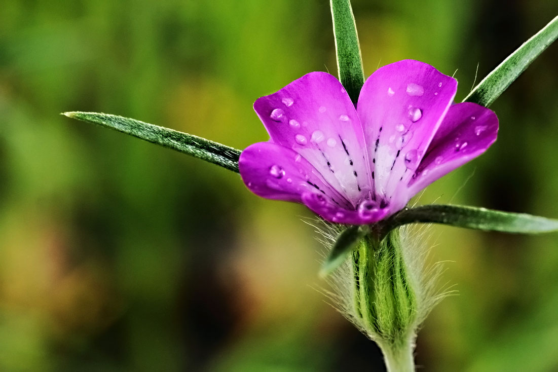 hd_10052019_01.JPG