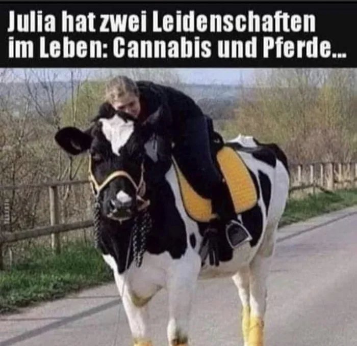 Heimritt-vom-Coffeeshop.jpg