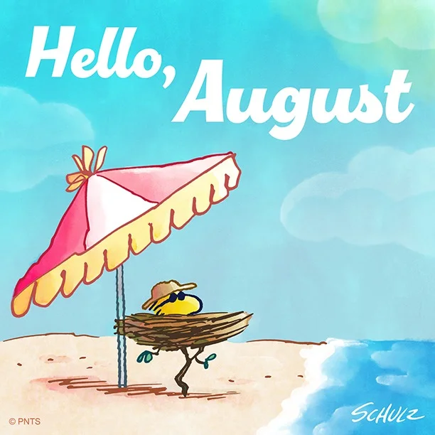 hello august.webp
