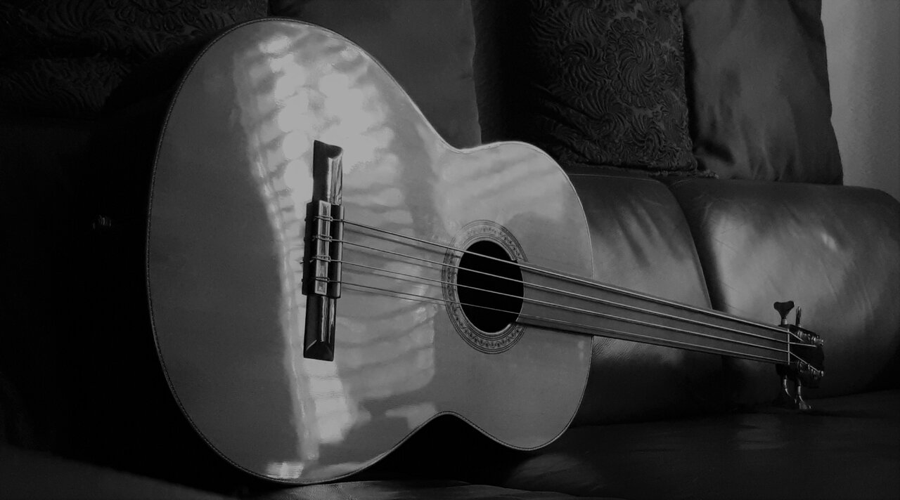 hernandes akustikbass fretless (2).jpg