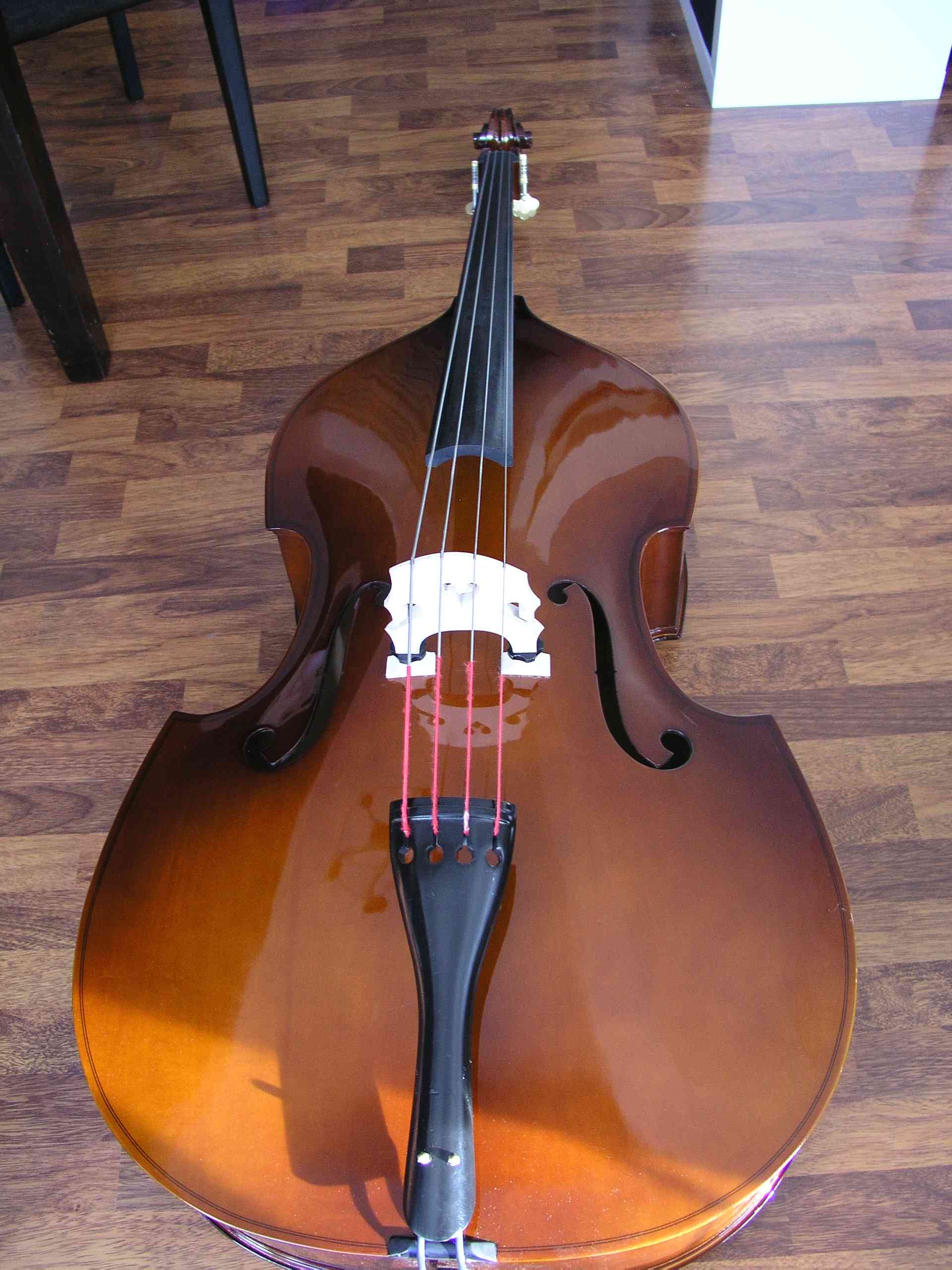 Höfner.jpg