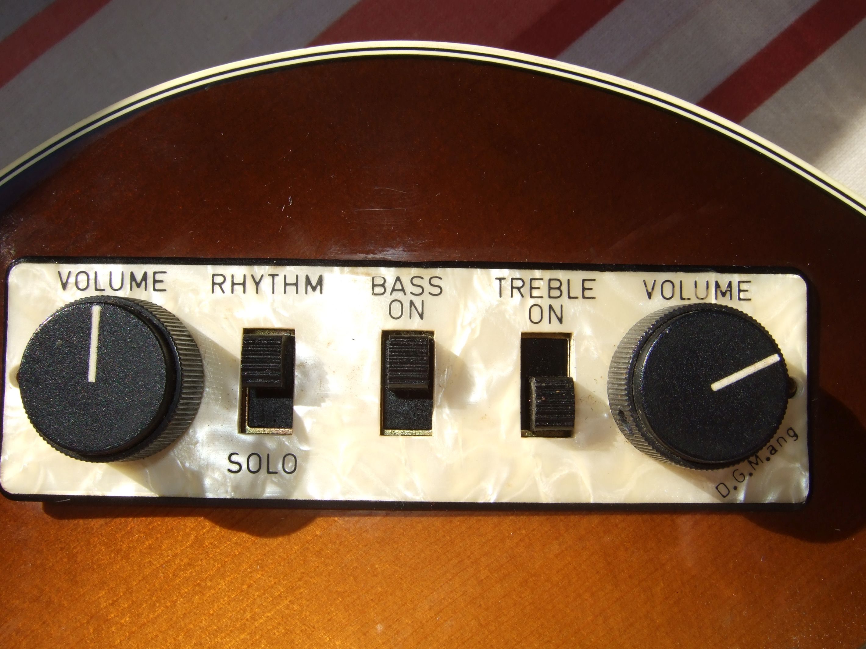 Höfner Panel.jpg
