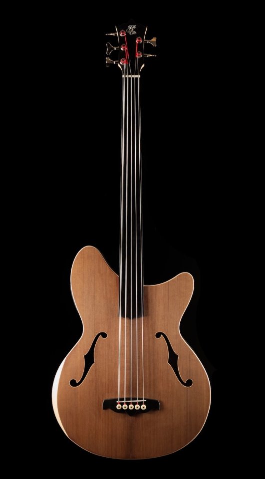Holblut Fretless.jpg