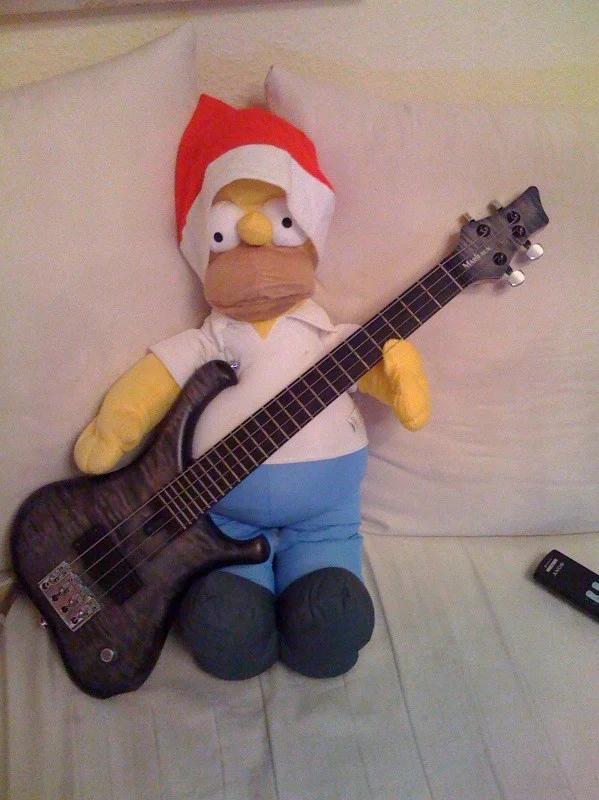 Homer Simpson Bass