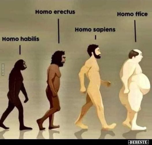 Homo.jpg