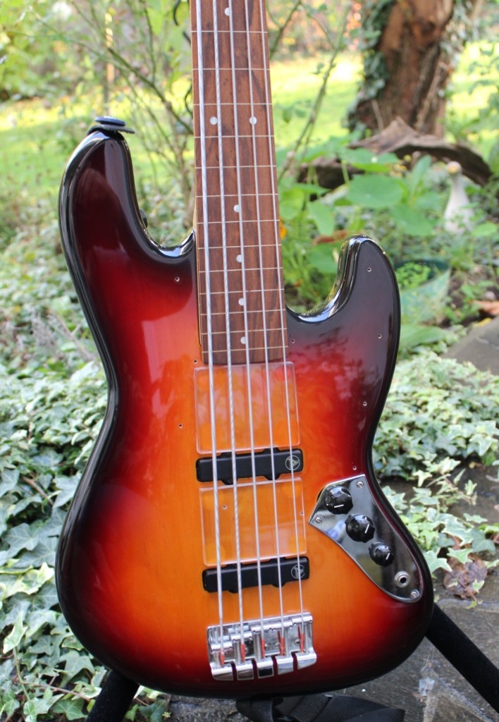 Hot Wire JB-V-fretless (3).JPG