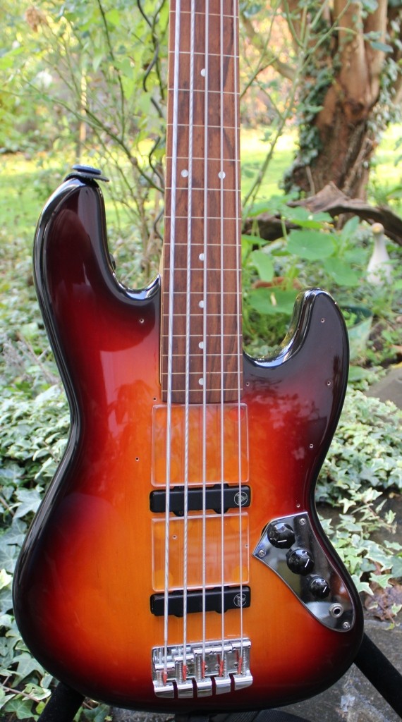 Hot Wire JB-V-fretless (4).JPG