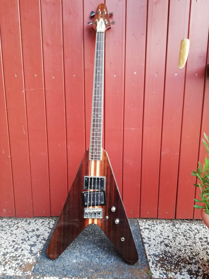 Hoyer Flying V.jpg