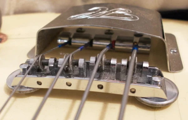 Hoyer Telebass - Steg.webp