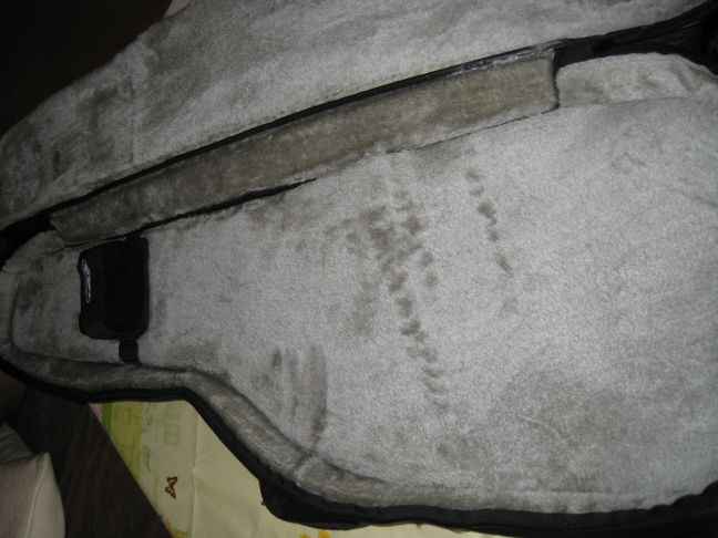 HumanBase-Gigbag2.jpg