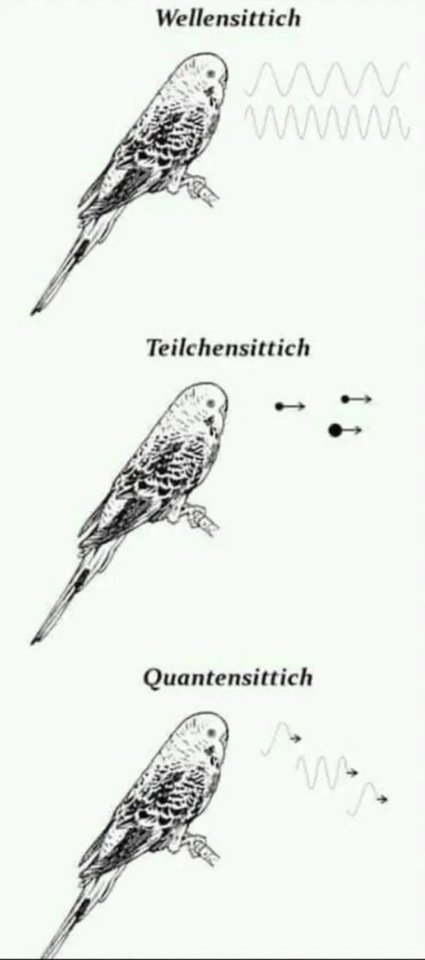 Humor-fr-gebiltete.jpg