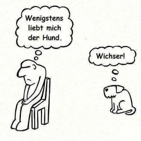 Hund.webp