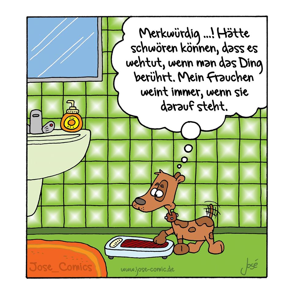 Hund02.jpg