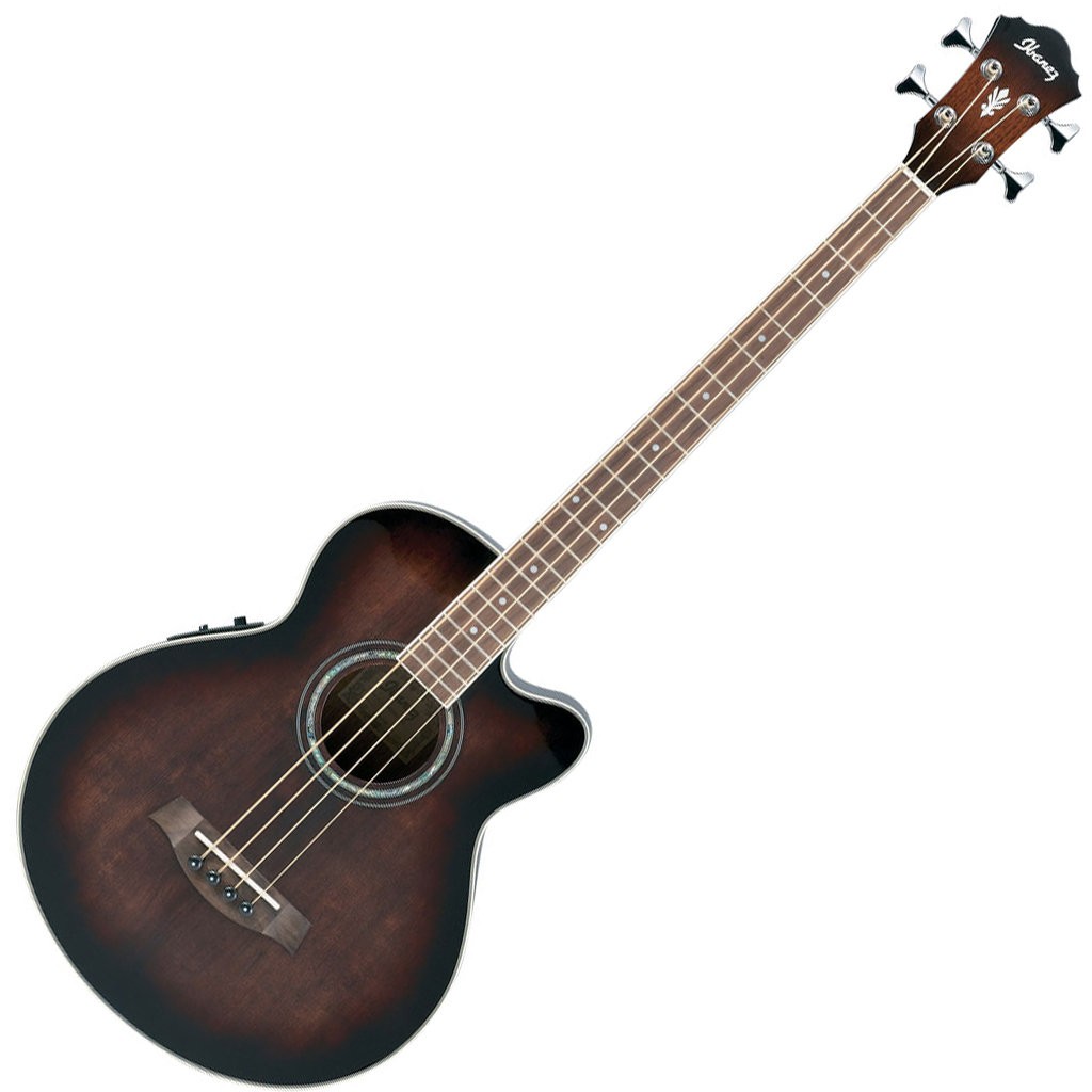 Ibanez-AcousticBass.jpg