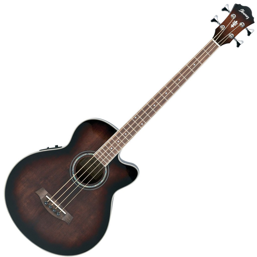 Ibanez-AcousticBass.jpg