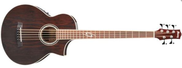 Ibanez EWB.JPG