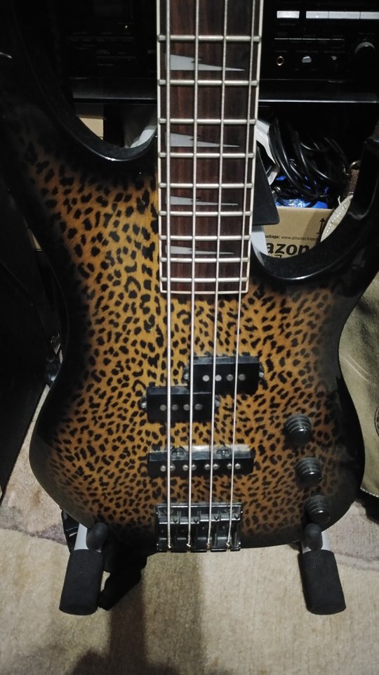 Ibanez.jpg