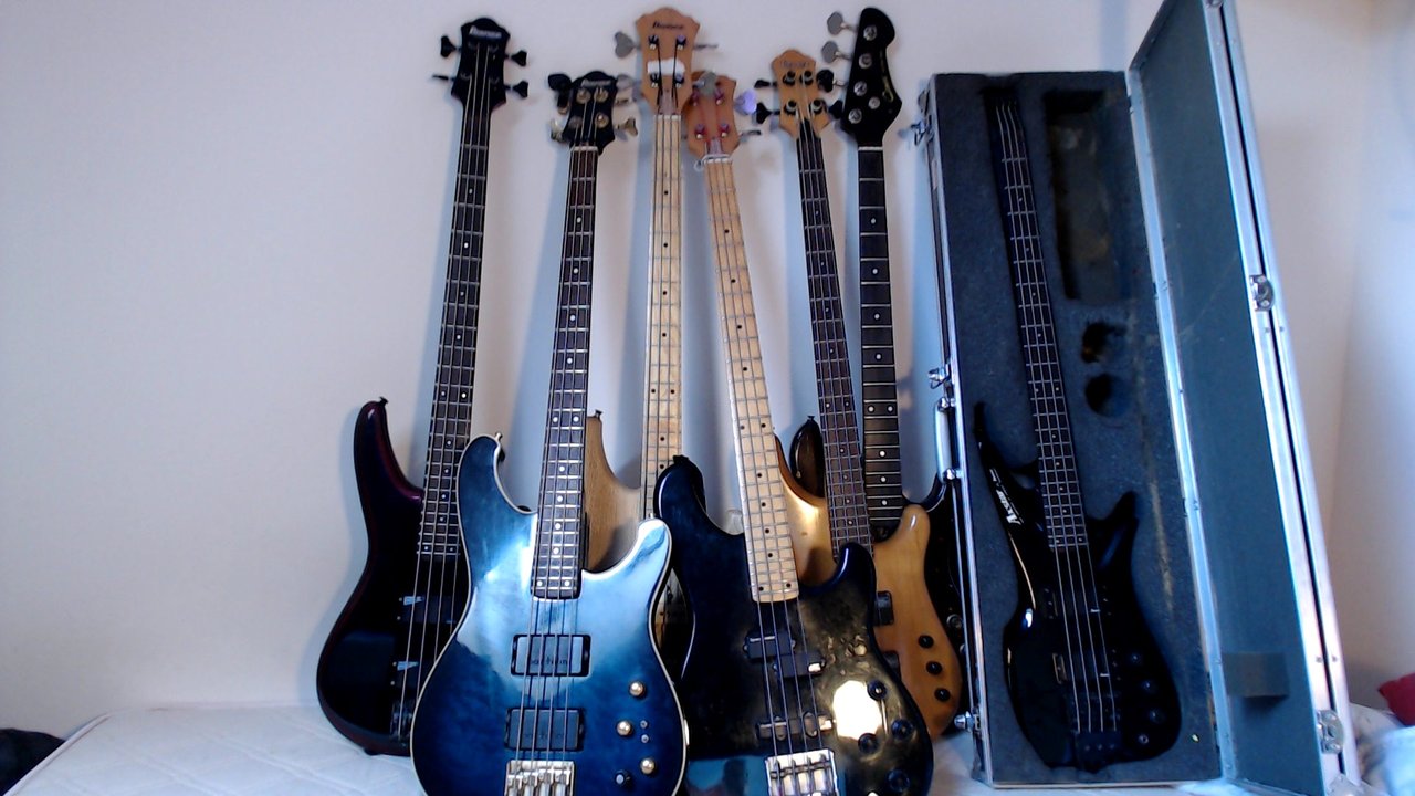 IbanezenFamily.jpg