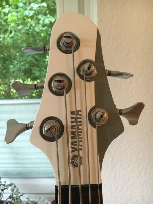 ibass2.jpg