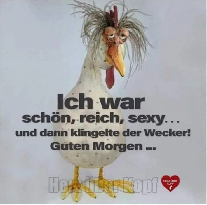 Ich_war_schoen_reich_und_sexy.webp
