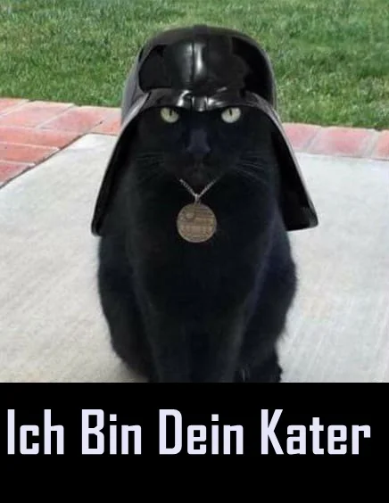 ichbindeinKater.webp