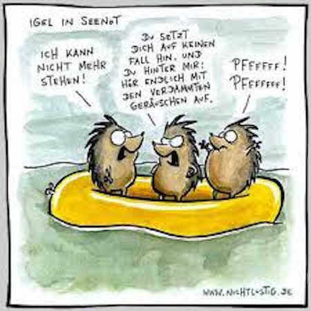 igel in seenot.jpeg