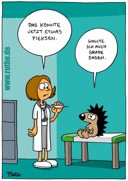 Igel01.jpg
