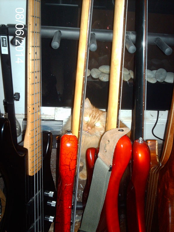 IMAG0173.jpg