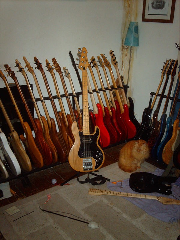 IMAG0313.jpg