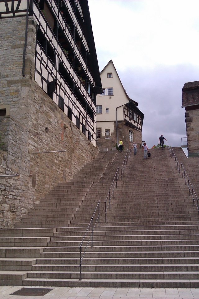 IMAG0731.jpg