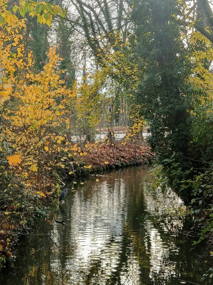 IMAG4438.jpg