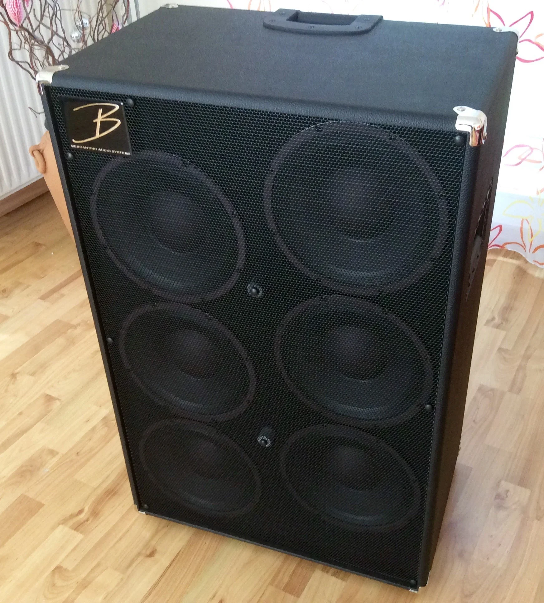 Bergantino Bass Box
