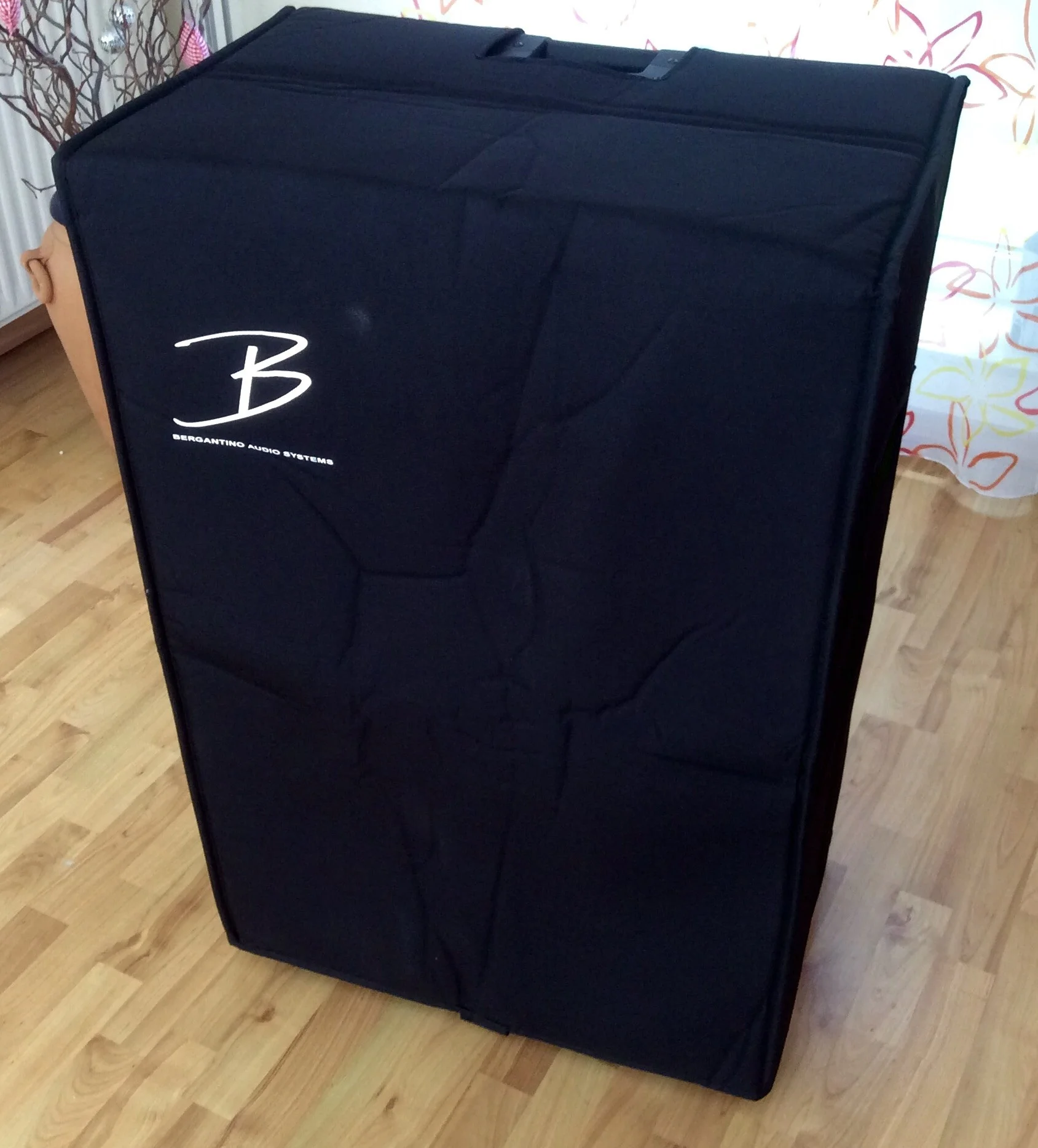 bergantino bass cabinet