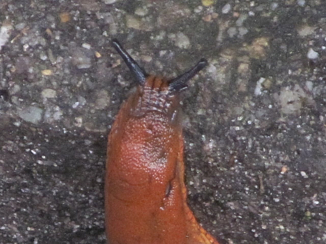 Image2.png