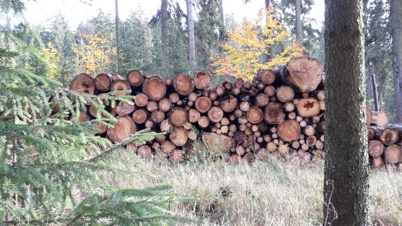 IMG-20171012-WA0058.jpg