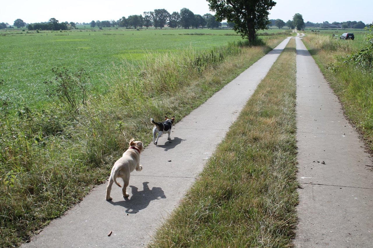 IMG-20190718-WA0003.jpg