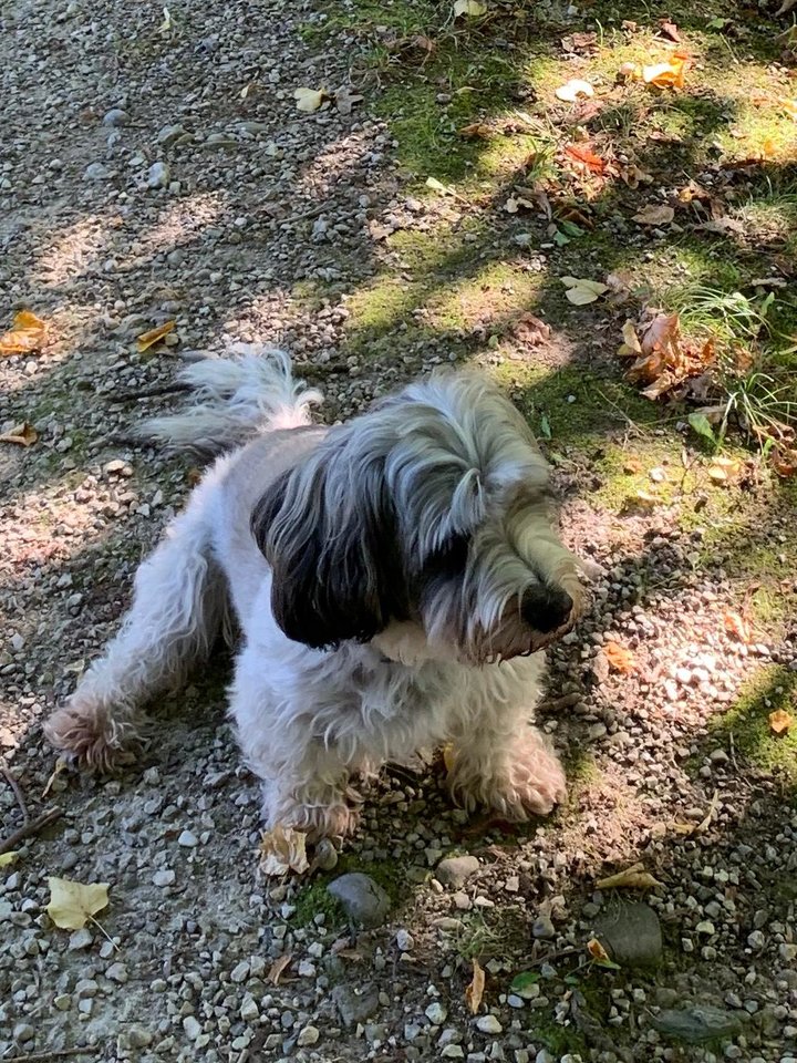 IMG-20190921-WA0002.jpg
