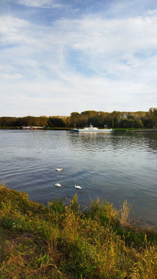 IMG-20221016-WA0006.jpeg