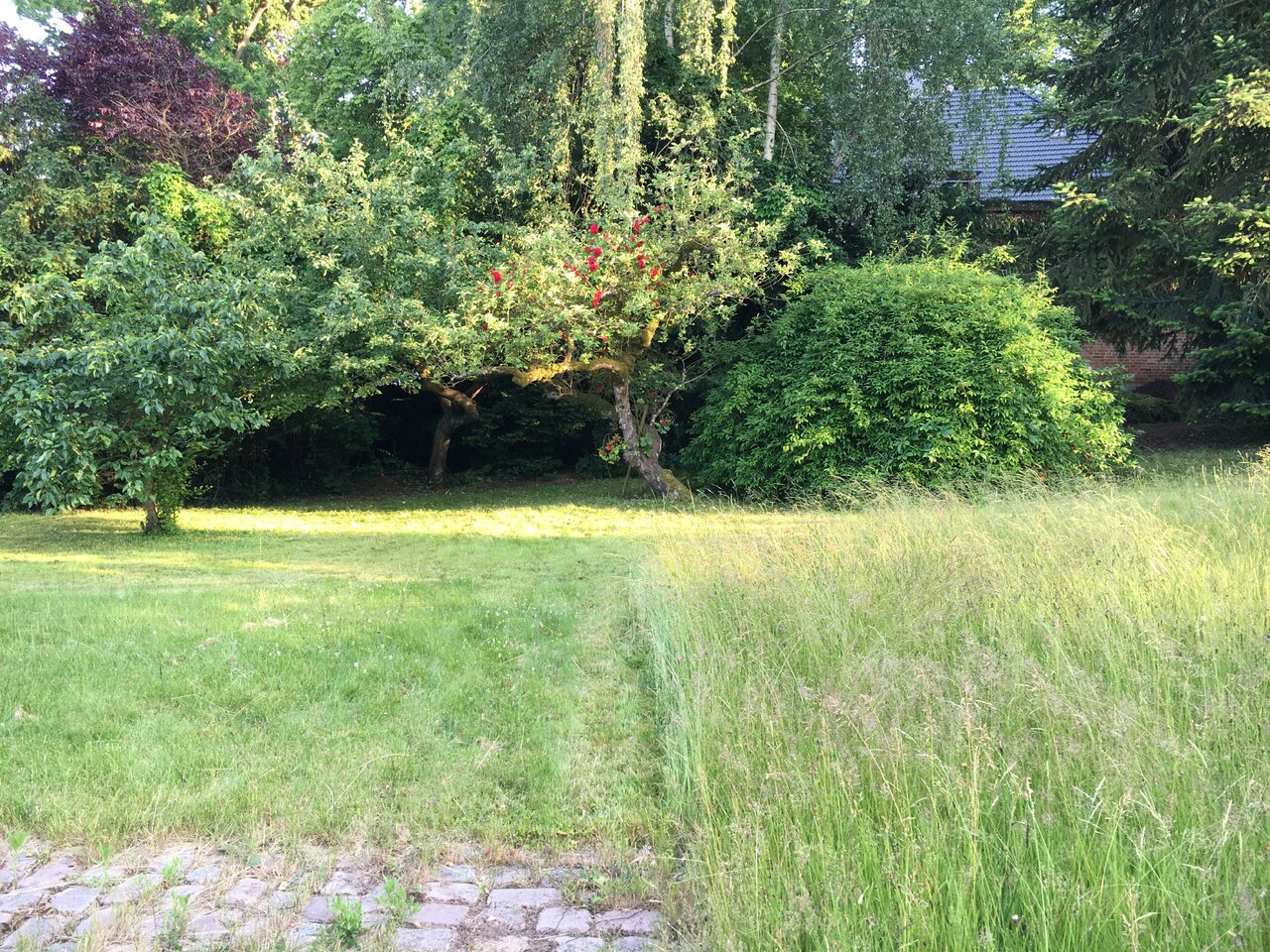 IMG_0156.JPEG