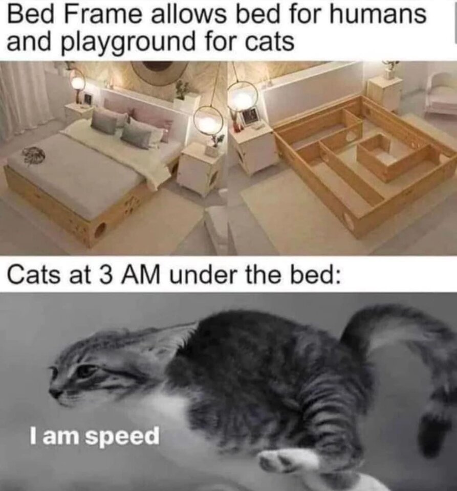 IMG_0288.jpeg