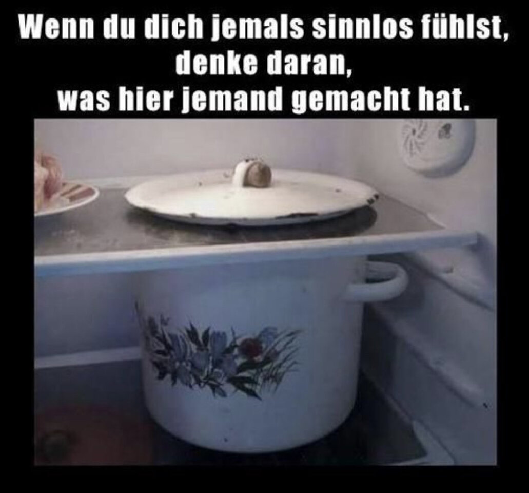 IMG_0587.jpeg