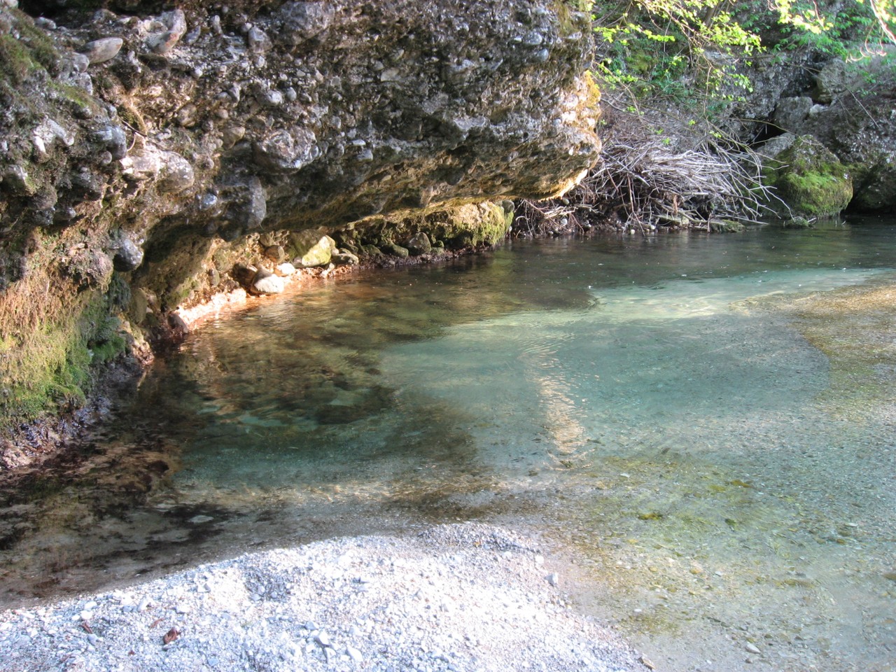 IMG_1701.jpg