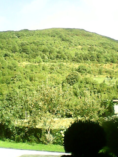 IMG_20150827_100930.jpg
