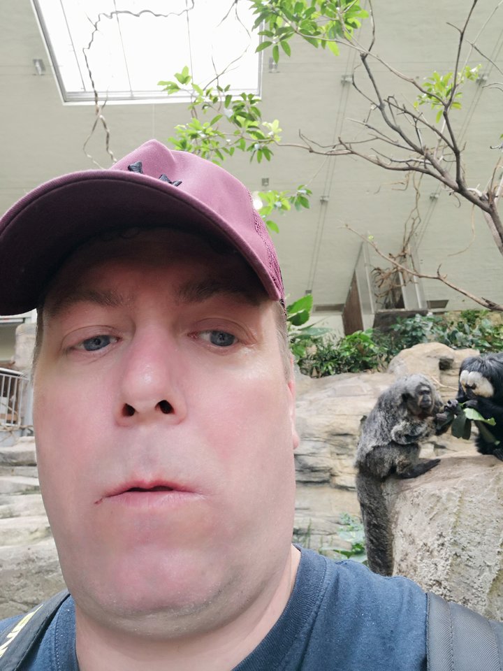 IMG_20180408_104352.jpg