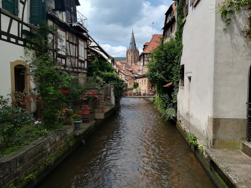 IMG_20180626_143244.jpg
