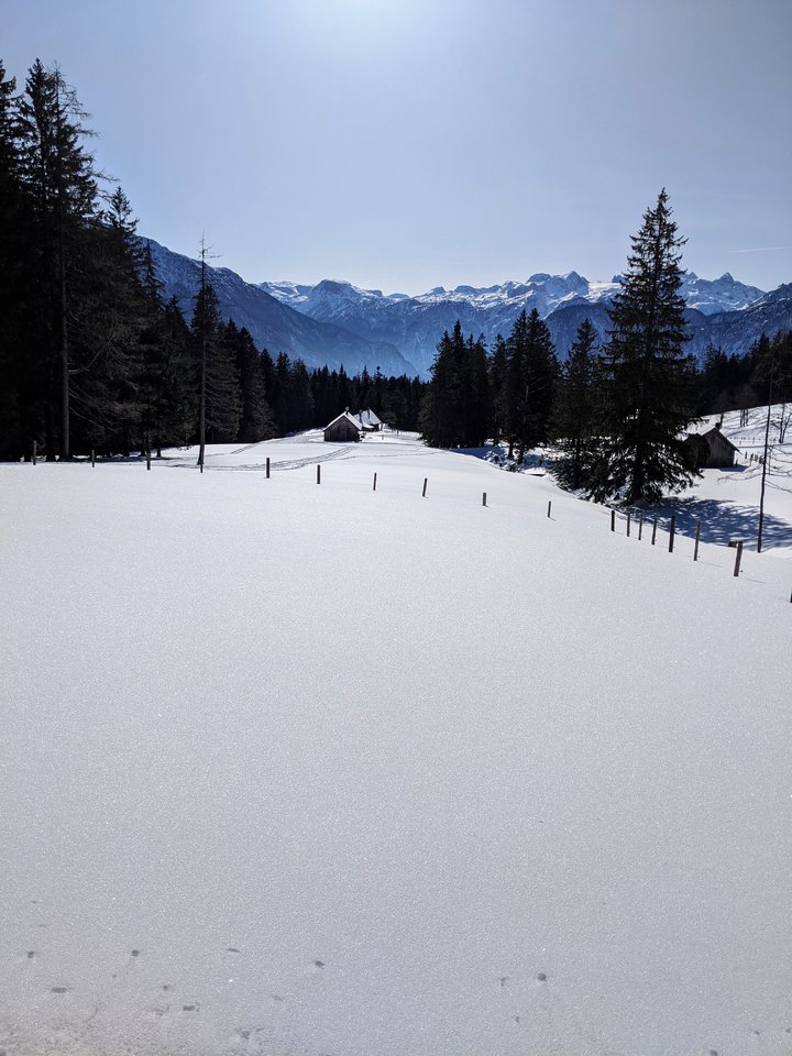 IMG_20200208_113828.jpg